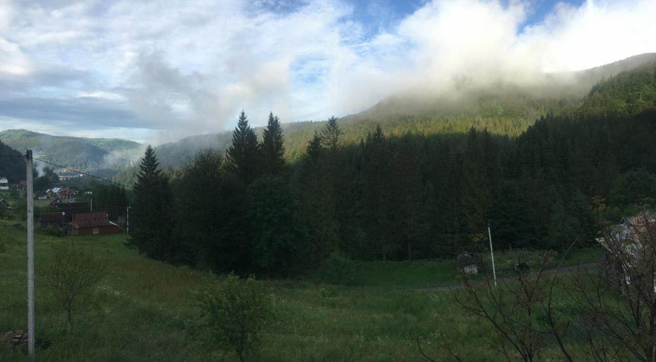 Котедж Mountain House Γιαρέμτσε Εξωτερικό φωτογραφία