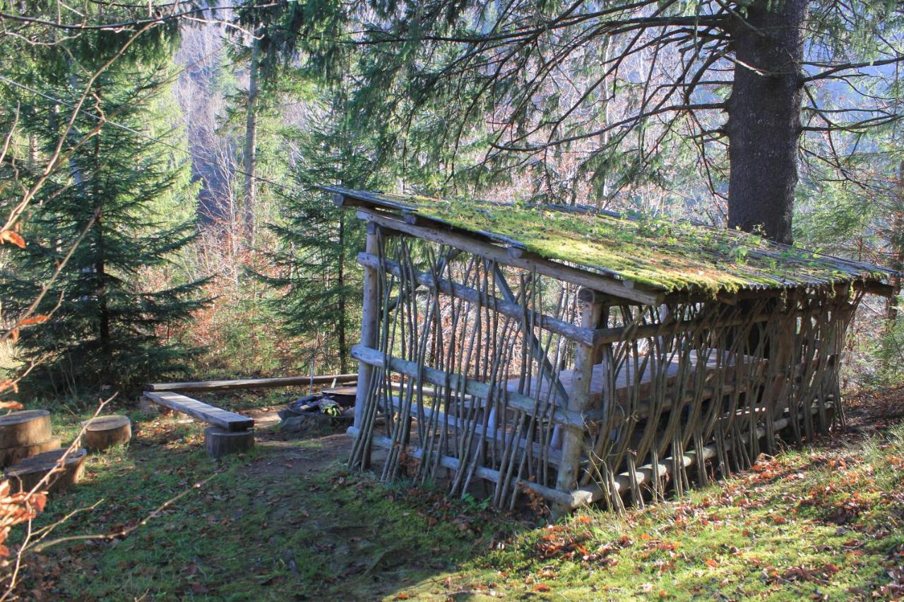 Котедж Mountain House Γιαρέμτσε Εξωτερικό φωτογραφία