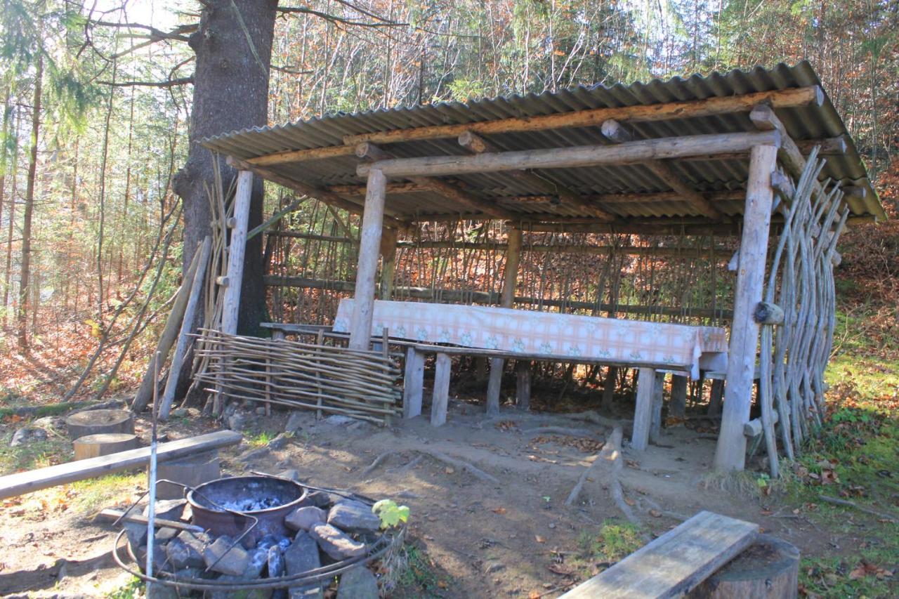Котедж Mountain House Γιαρέμτσε Εξωτερικό φωτογραφία