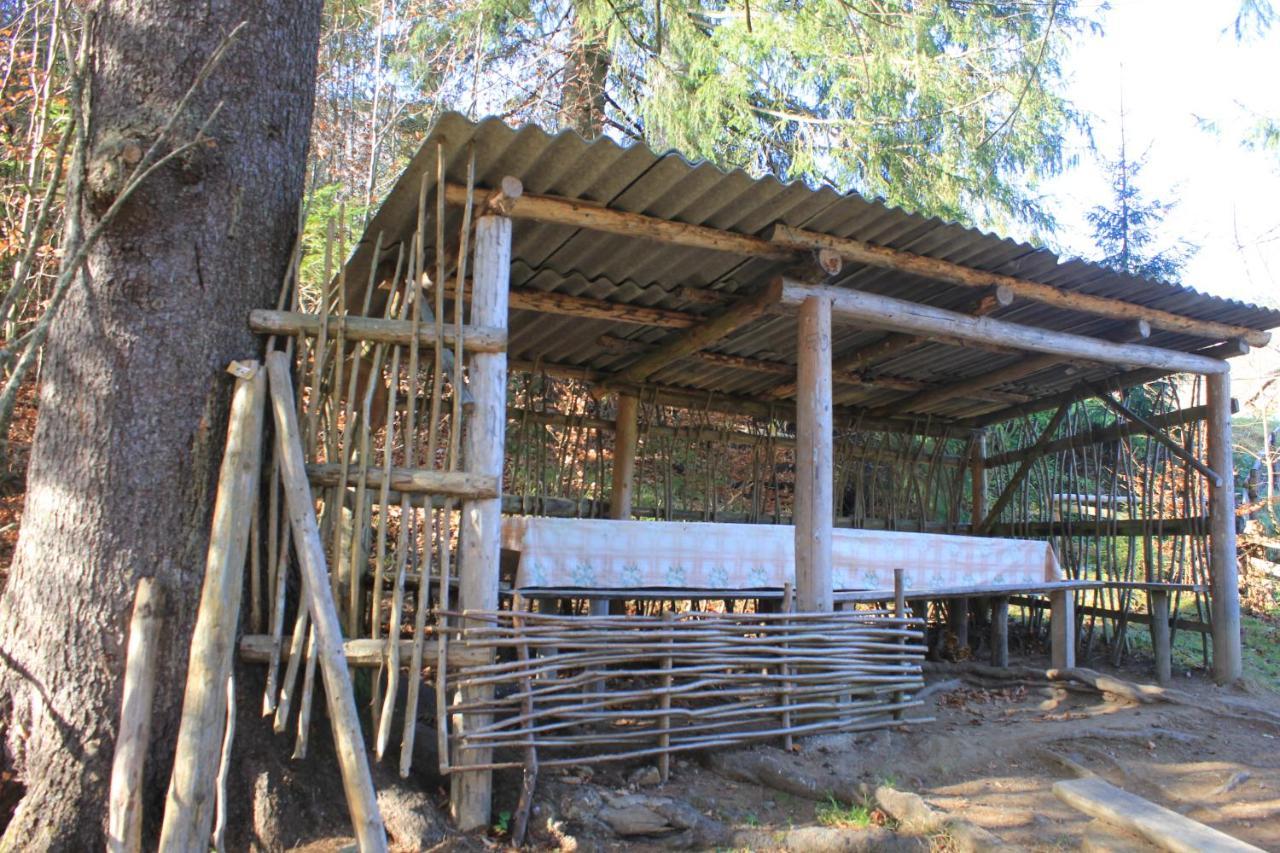 Котедж Mountain House Γιαρέμτσε Εξωτερικό φωτογραφία