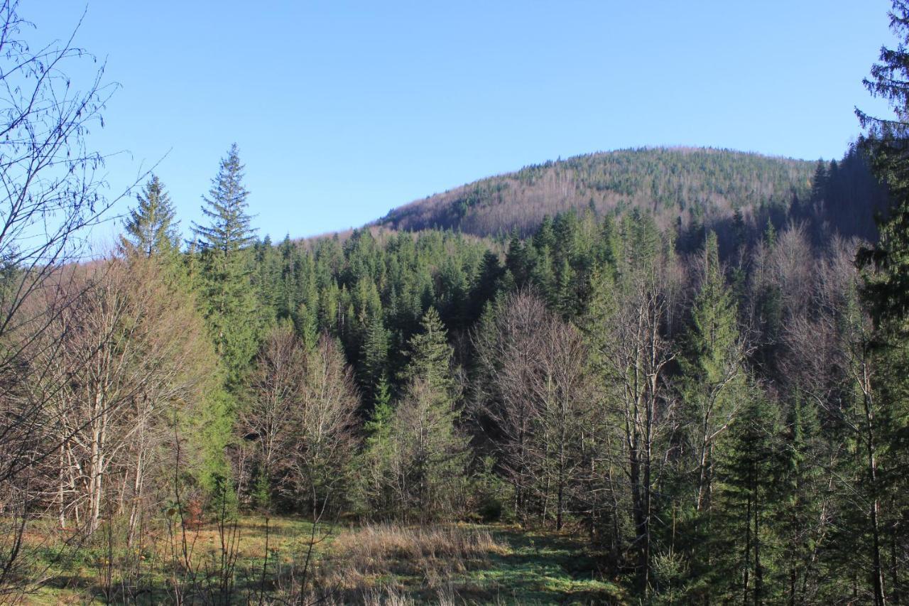 Котедж Mountain House Γιαρέμτσε Εξωτερικό φωτογραφία